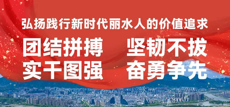 奮進(jìn)十五五·戎耀麗水 | “兵站長(zhǎng)”沈永淼在全省培訓(xùn)班上作經(jīng)...